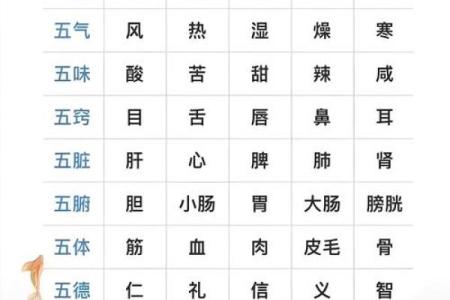 出生的人五行属性是什么？解读你的命运与性格特点