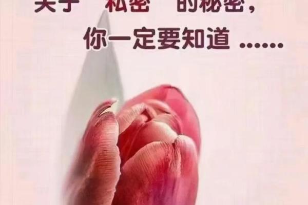 打造和谐空间的秘密:风水团队的专业指导 打造和谐空间的秘密:风水团队的专业指导