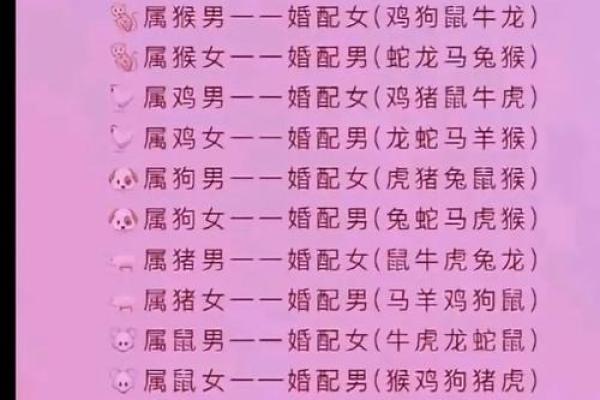 男属鸡女属兔的配对分析与婚姻运势探讨
