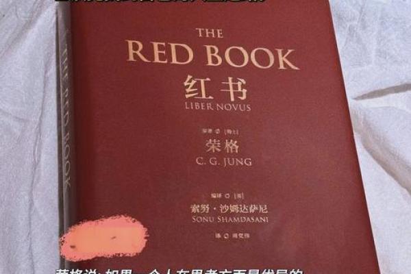 从命到运：如何理解命与运的关系