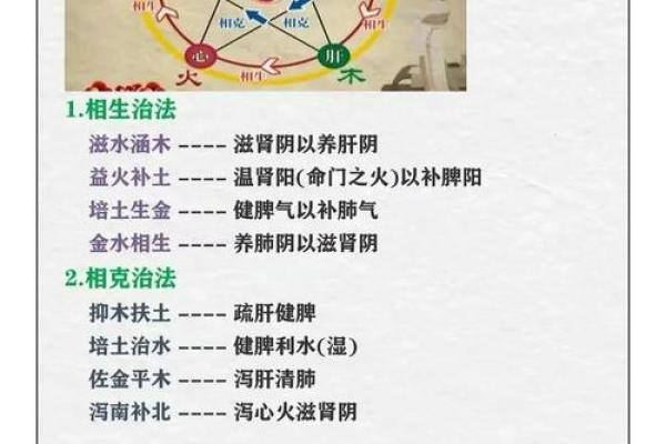 婵五行属什么？揭秘其背后的深层含义和影响
