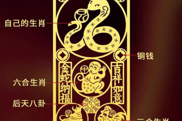 属猴人本命年如何做出理智决策