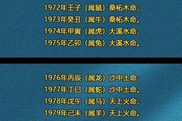出生的孩子命运如何解析