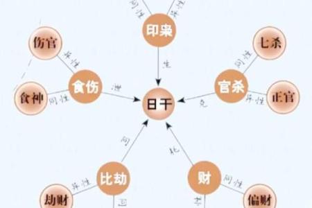 出生的人五行属性是什么？揭秘你的命运密码！