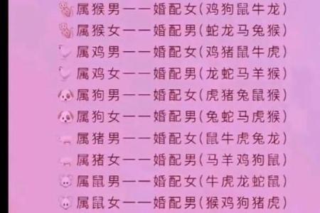 男属鸡女属兔的配对分析与婚姻运势探讨