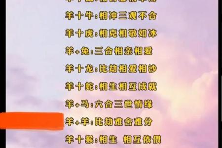 羊猴婚姻：挑战与机遇并存的完美搭配