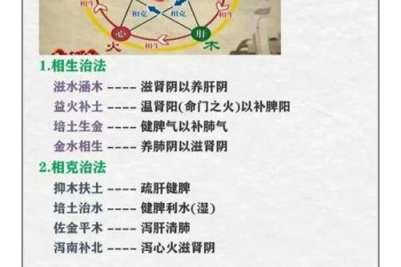 婵五行属什么？揭秘其背后的深层含义和影响