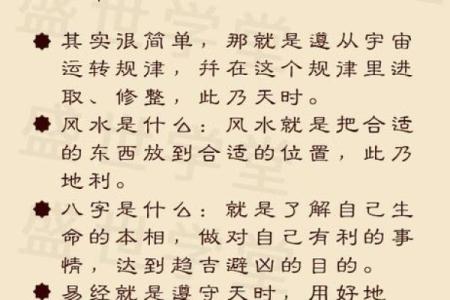 东莞家居风水如何影响事业与财富运程
