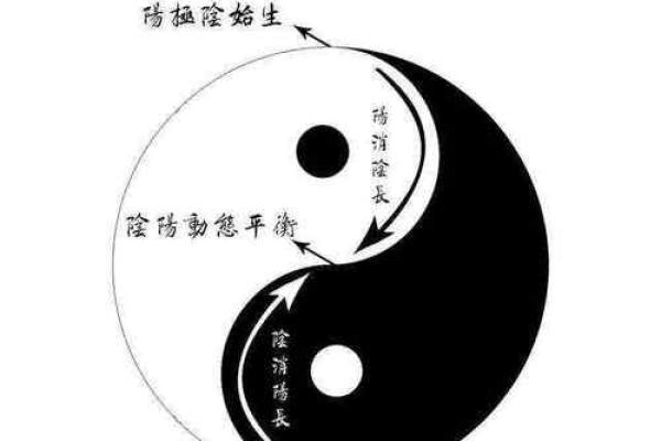 成太极命造的概念与应用解析