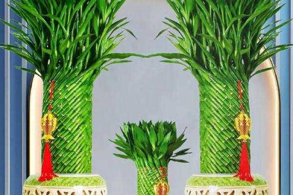 办公室摆放竹子风水禁忌与注意事项解析