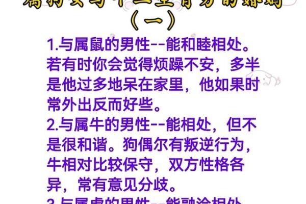 狗年婚姻配对：男狗女狗的婚姻是否合适
