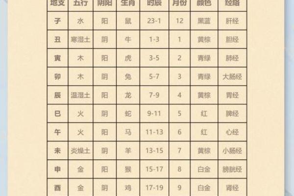 出生的人五行属什么，揭开命运的奥秘