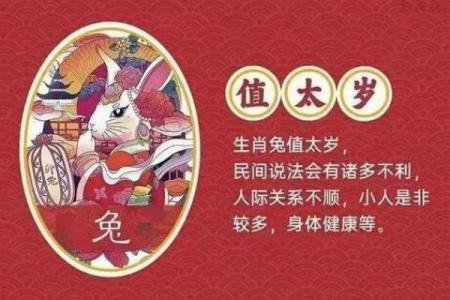 兔男本命年如何调整自己的生活步调