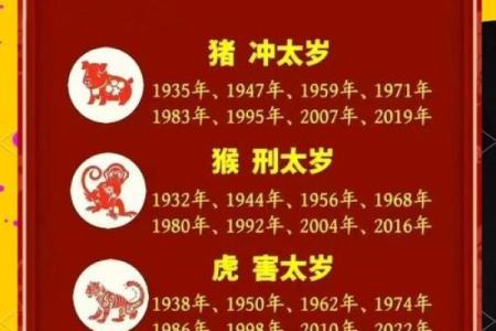 猪年运势解析与发展机会