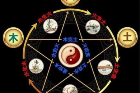 出生的人五行属什么，揭开命运的奥秘