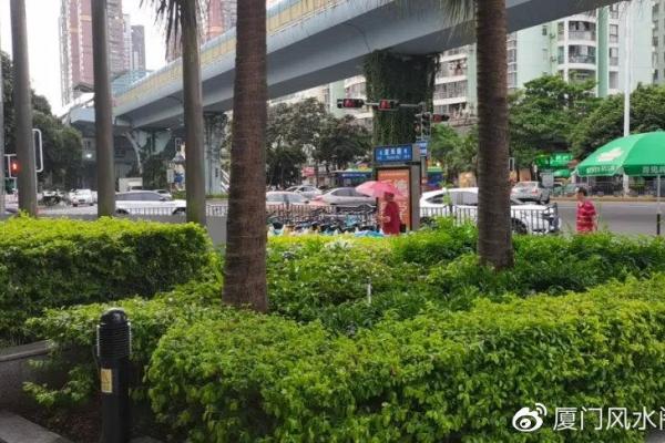 办公楼拐角沿街风水调整技巧助力事业发展 办公楼拐角沿街风水调整技巧助力事业发展