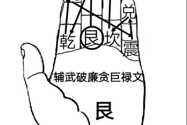 单间招财风水布局指南 助你财富不断提升