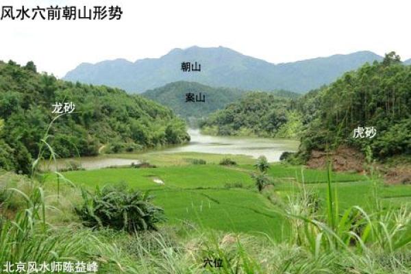从命理角度看真龙命格的优势与挑战