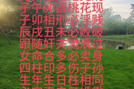 八字称命的正确解读，让你掌握命运的密码