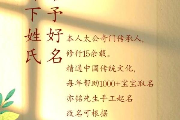 从独特到经典：探索好听组织名字的无限可能