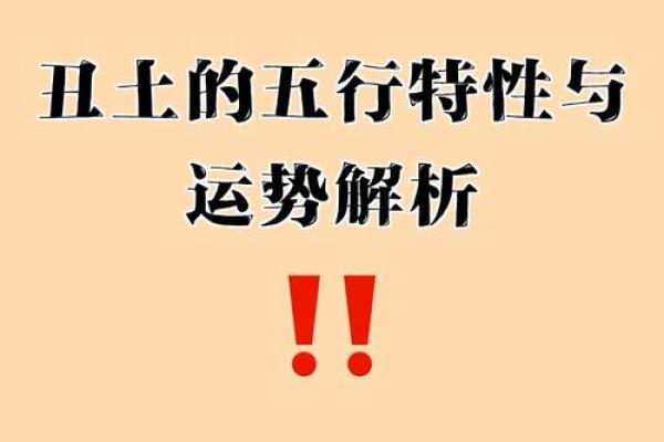 丑在五行中的象征意义与命理解析