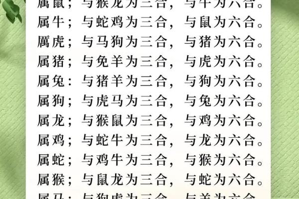 解析虎与马婚姻配对的和谐与不和