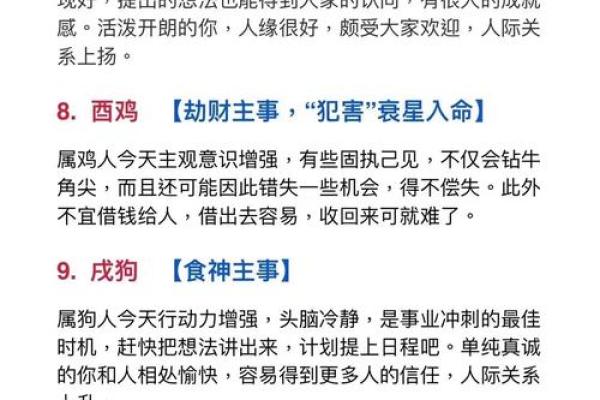 出生的人命运解析：属虎还是属兔，他们的性格与人生轨迹