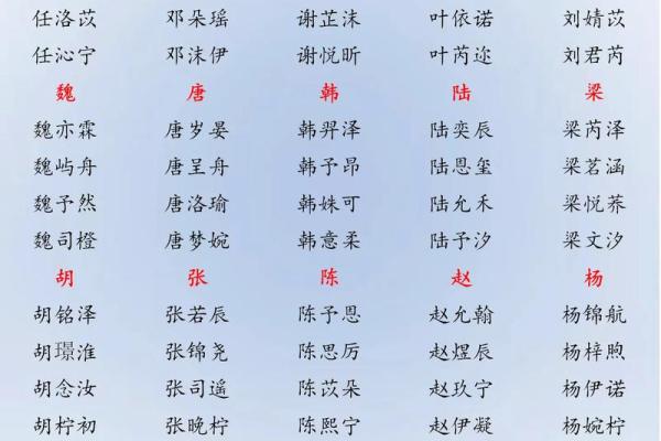 宝宝名字怎么起才有意义:家族与个性并重 宝宝名字怎么起才有意义:家族与个性并重