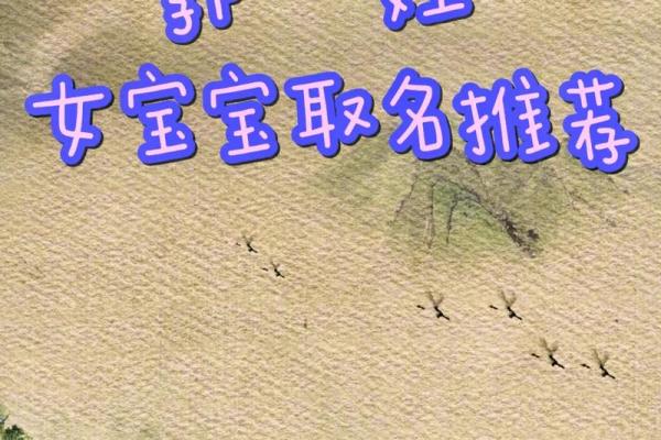 郭姓女宝宝名字大全:寓意美好且富有个性 郭姓女宝宝名字大全:寓意美好且富有个性