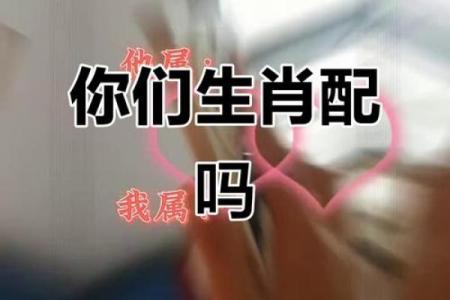 猴蛇配对：命理与生肖的深层联系