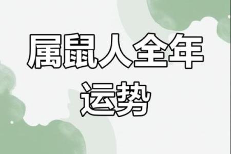 本命年属鼠如何做到财运和事业双丰收
