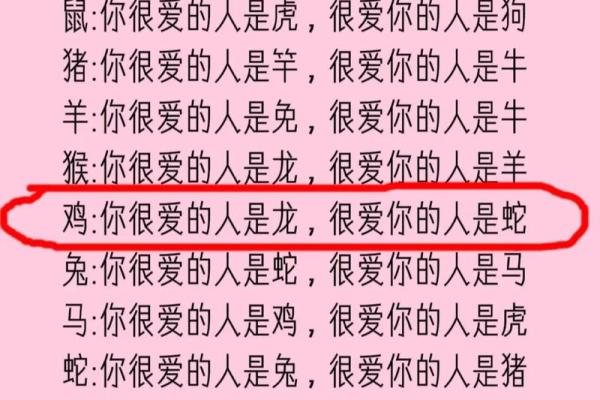 属羊与属狗的爱情契合度分析