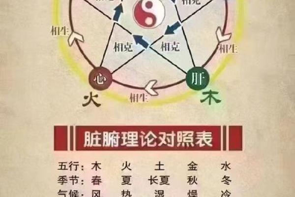 心脏在五行中的独特属性与健康关系解析