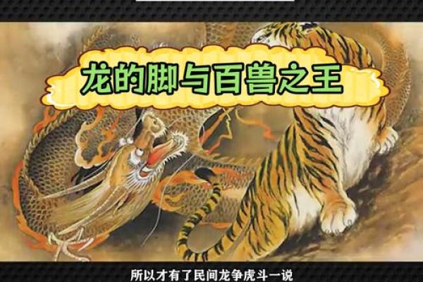 龙虎相配的深层意义与文化象征