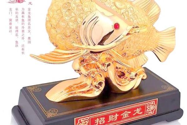 打造财运旺盛的红龙鱼风水布局