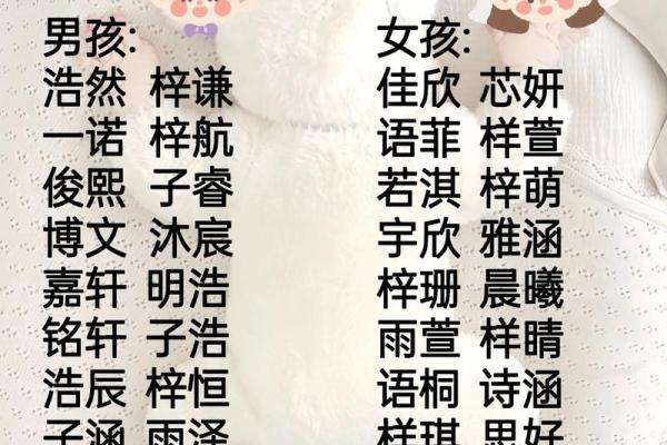 免费命名服务,帮你为宝宝挑选最美名字 免费命名服务,帮你为宝宝挑选最美名字