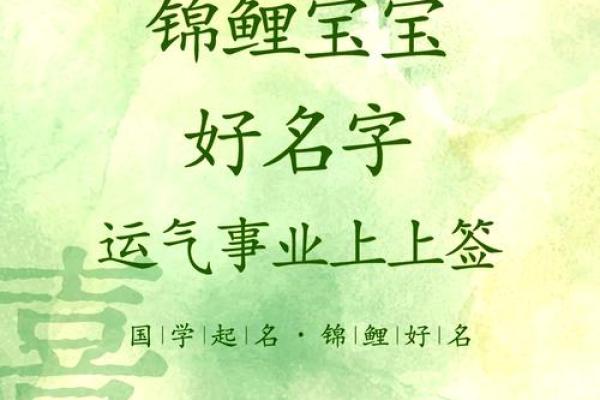 免费命名服务,帮你为宝宝挑选最美名字 免费命名服务,帮你为宝宝挑选最美名字