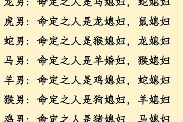 蛇女与马男的星座兼容性探讨，是否能携手共度一生