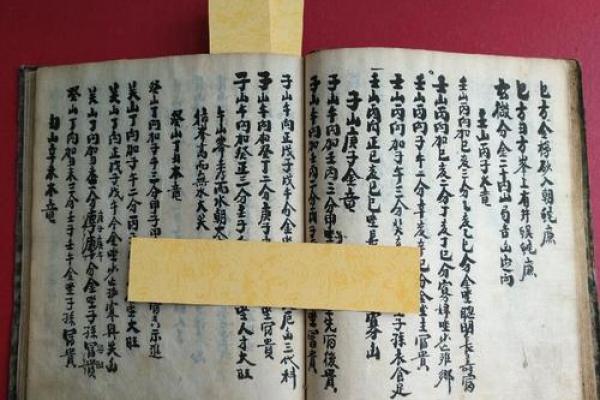 陈奕鸣五行属性揭秘：你不知道的命理密码