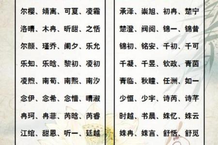 车牌号也能影响运势？生辰八字五行选号技巧大揭秘