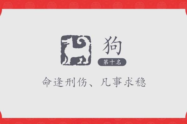 属狗与属猪的相处之道：和谐与摩擦的平衡