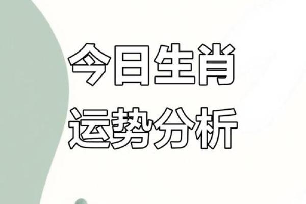 2023年必看老皇历:运势详解,吉祥物推荐 2023年必看老皇历:运势详解,吉祥物推荐