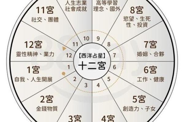 出生的人五行属什么？解读你的命运密码