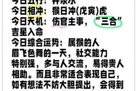 属猴人本命年如何应对财务问题