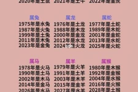 出生的人五行属什么？解读你的命运密码