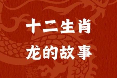 龙与牛相遇：生肖配对中的最佳默契