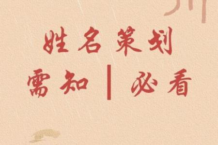 避免公司起名误区的实用指南