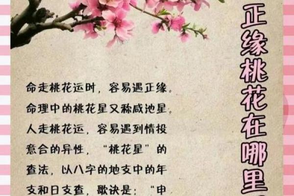 八字桃花运揭秘：如何通过出生时间找到你的姻缘密钥