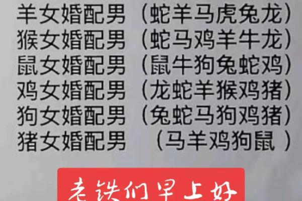 女狗男猴婚姻匹配性分析与建议