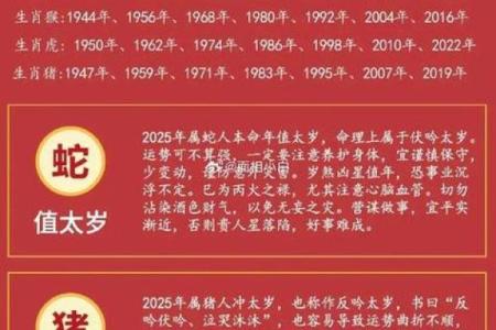生肖运势全解析：每个生肖的运程变化与发展